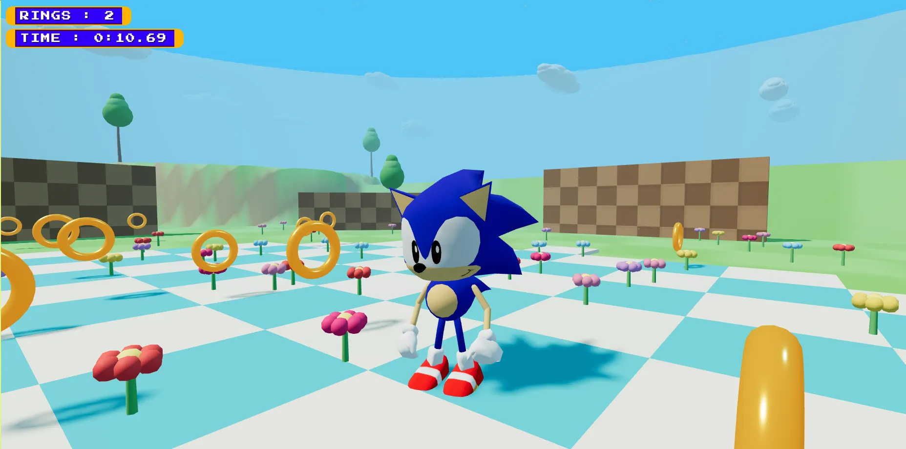 Sonic Hub World